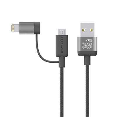 TEAM GROUP Cable WC06 2 en 1 20cm Gray